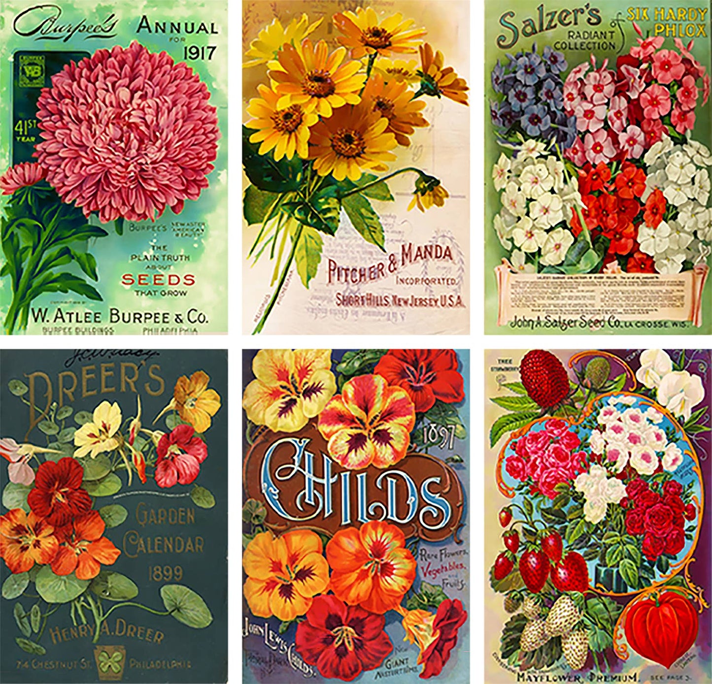 Vintage Seeds Mini Matchboxes Asst 60Pack - ANN381