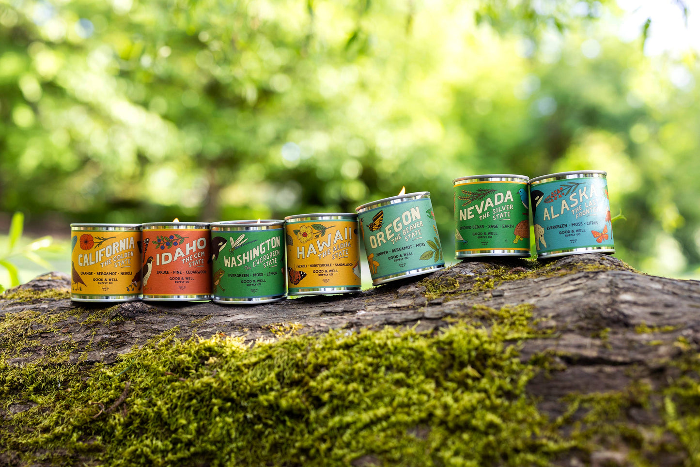 Tennessee State Soy Candle: 1/2 Pint / Cotton Wick