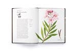 The Story of Flowers