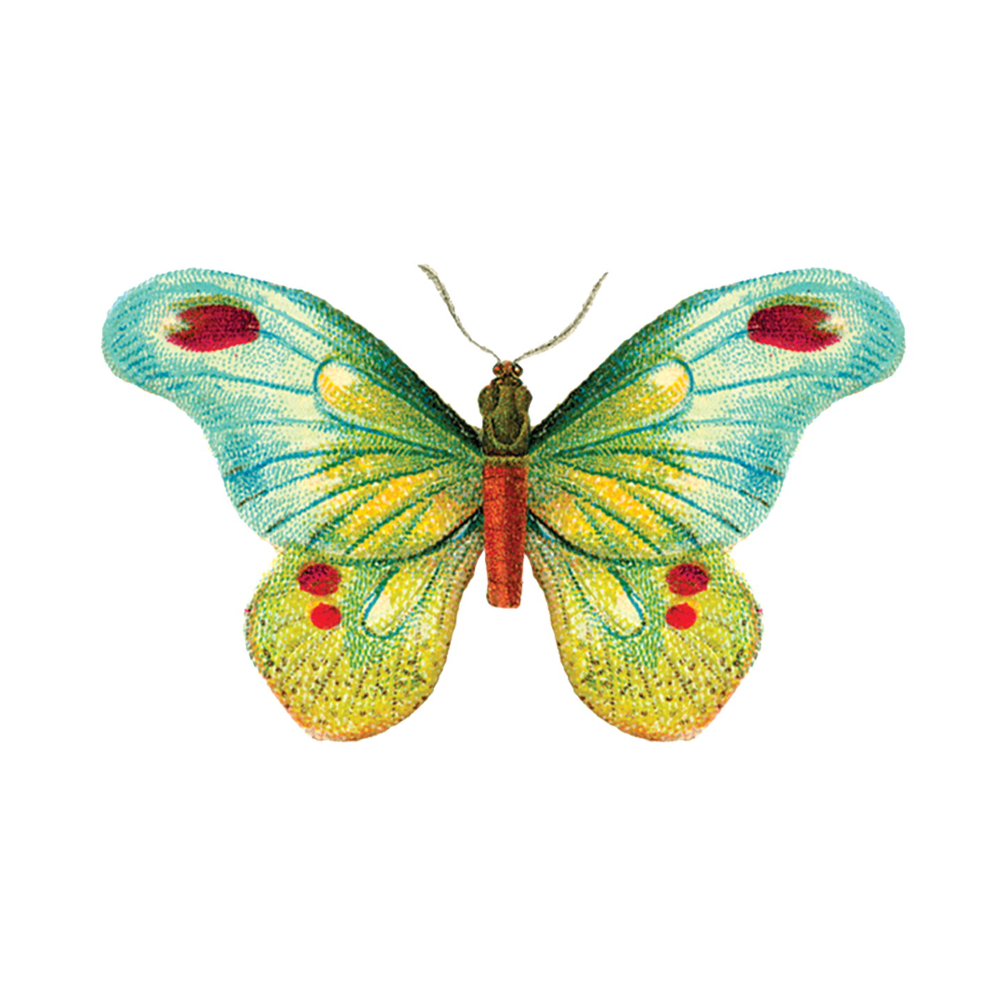 Butterfly 1 Tattoo Pair