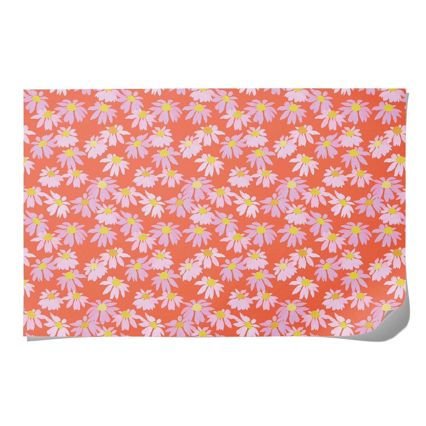 Coneflower wrapping paper: Rolls of 3 sheets
