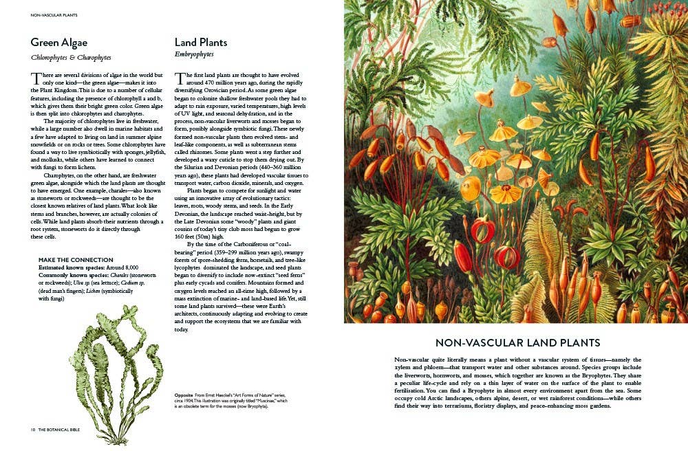 Botanical Bible