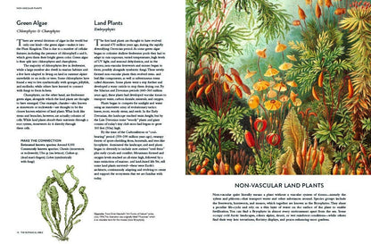 Botanical Bible