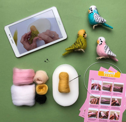 Needle Felting Kit Budgie. Make a wool felt budgerigar