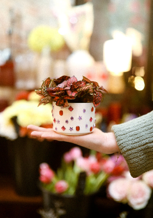 Bedazzle-Your-Own-Pot with plant from Glass Tangerine Craft