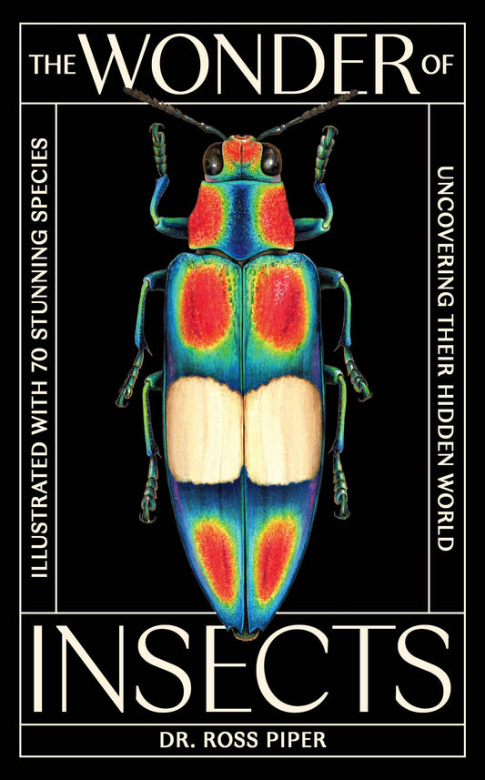 The Wonder of Insects: Uncovering their Hidden World