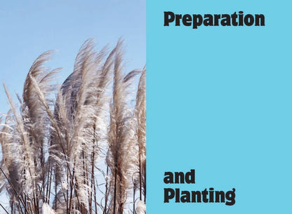 The Container Gardening Handbook