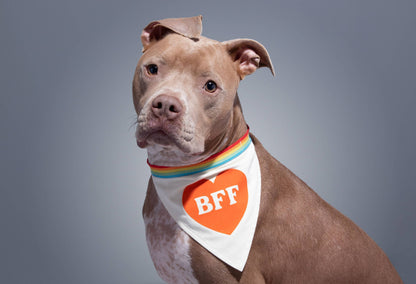 Brass Monkey BFF Dog Bandana