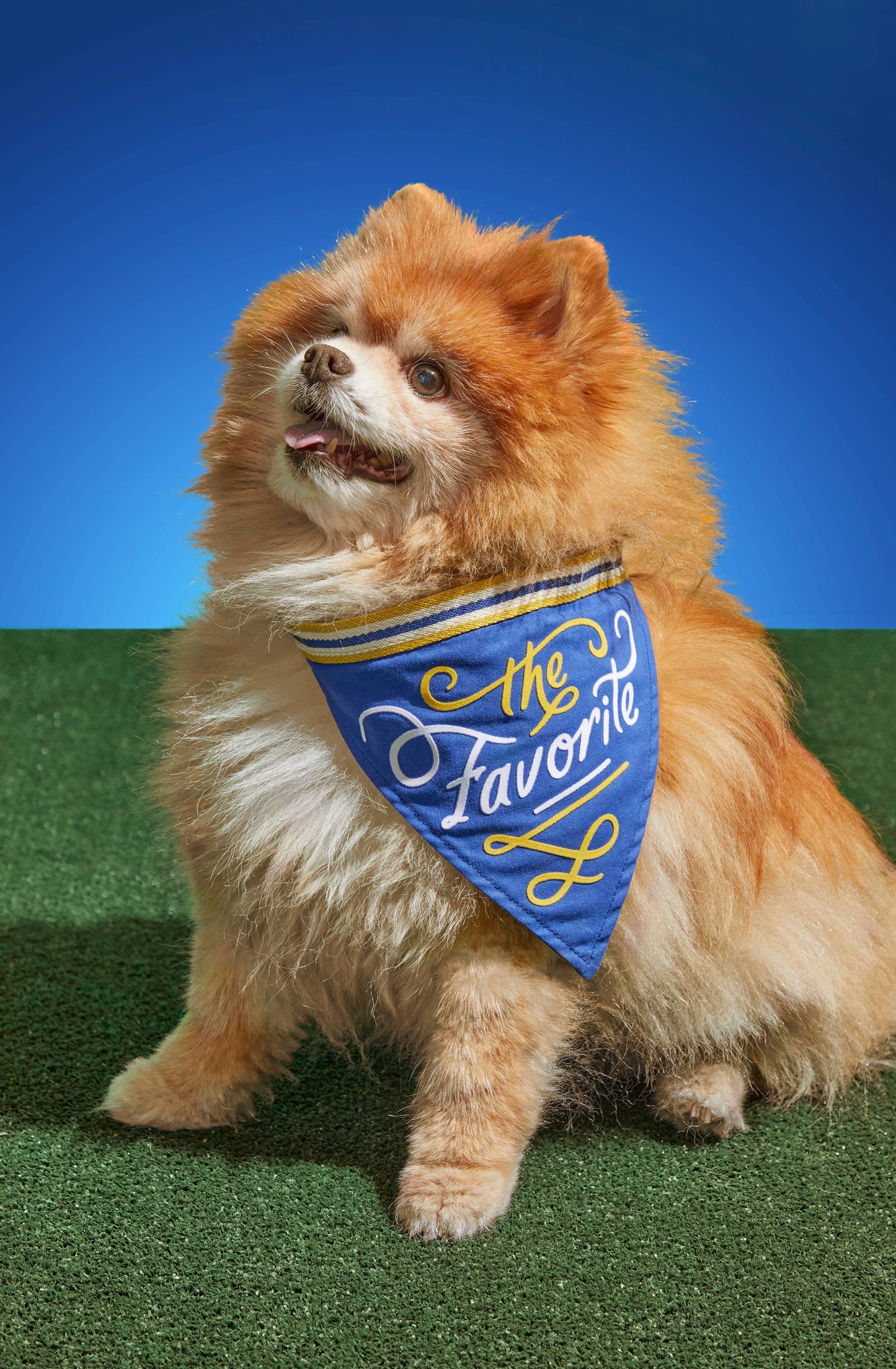 Brass Monkey The Favorite Dog Bandana