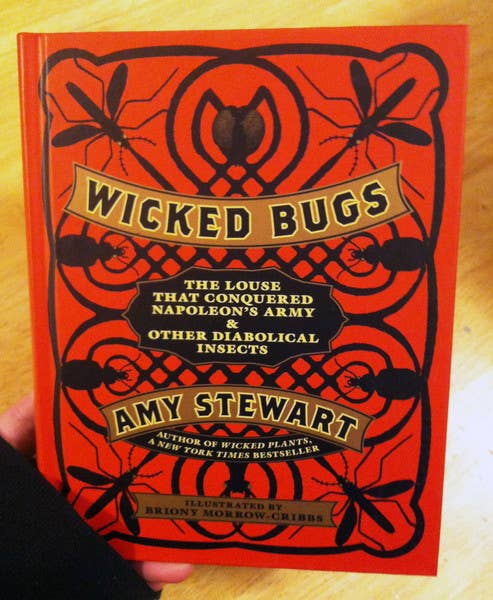Wicked Bugs