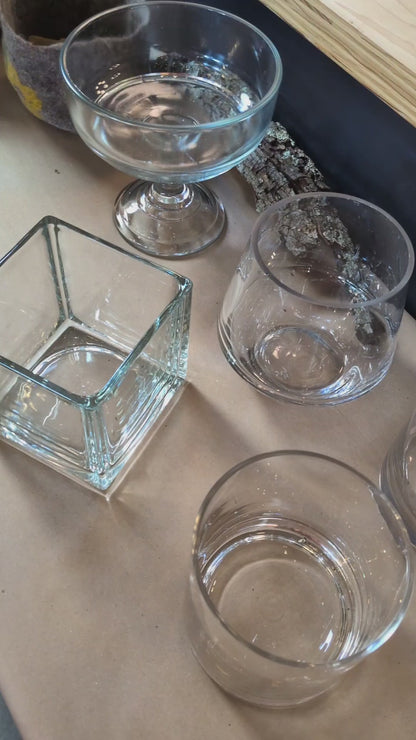 Succulent Terrarium Workshop with Allison Weeden